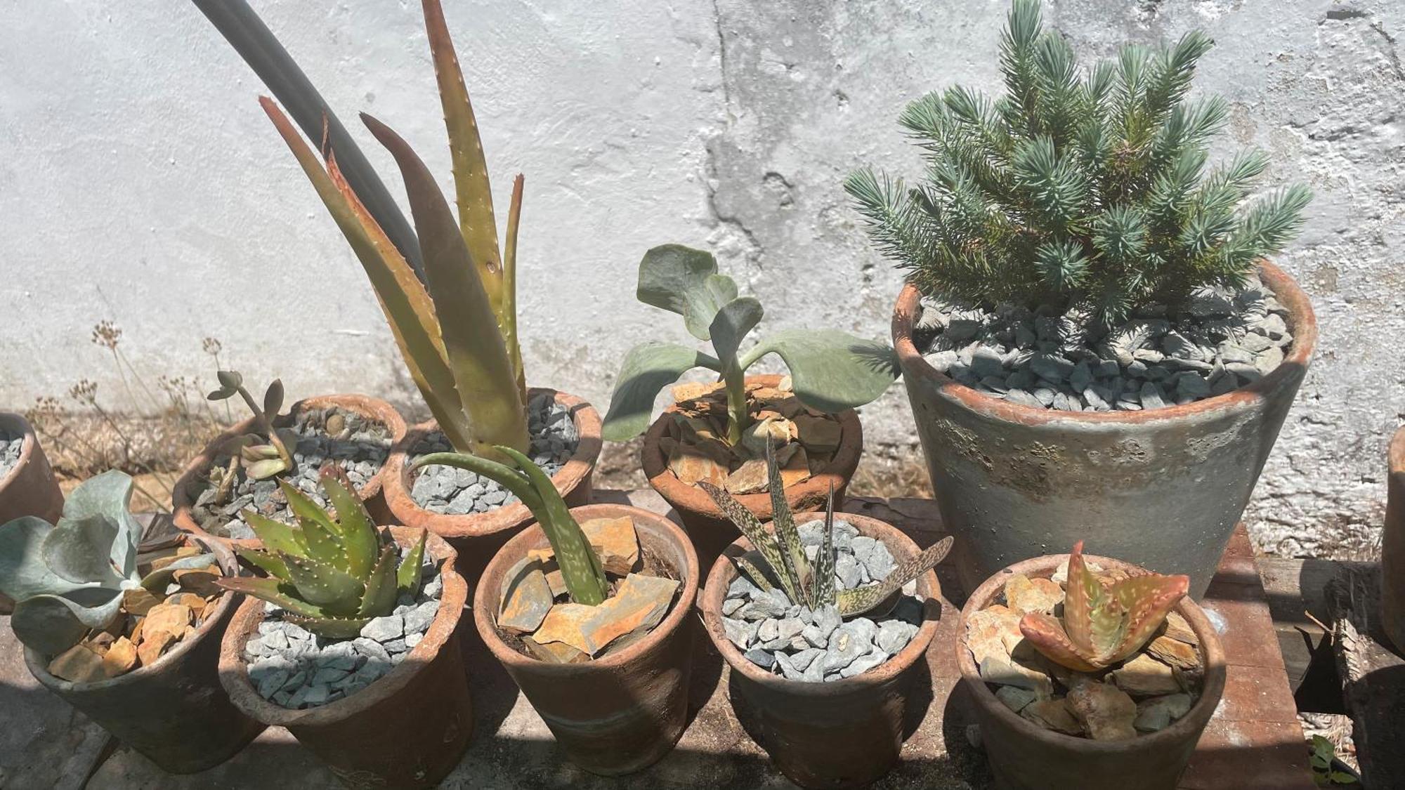 Azinheira dos BarrosSesmarias Dos Nobres别墅 外观 照片