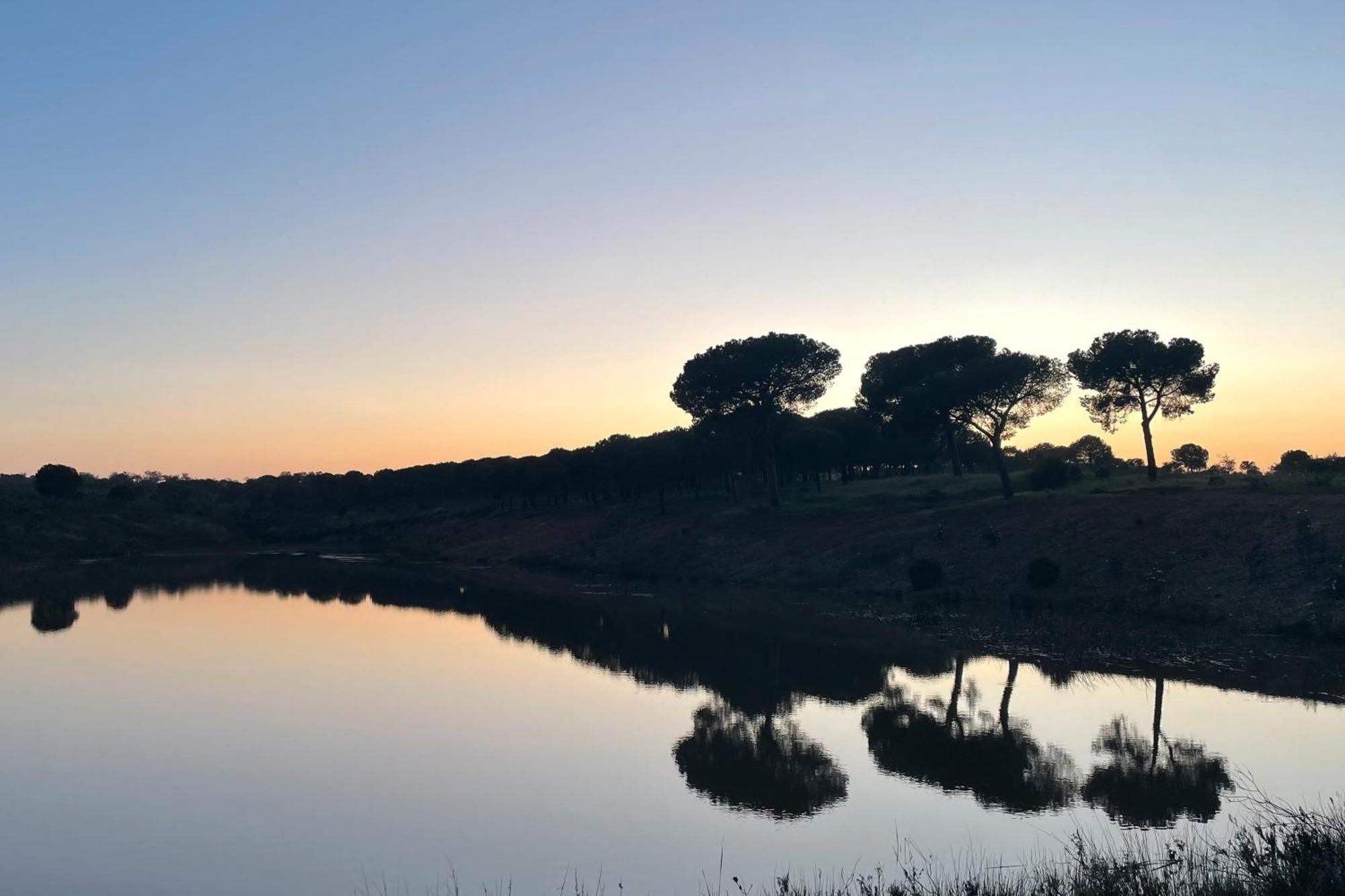 Azinheira dos BarrosSesmarias Dos Nobres别墅 外观 照片